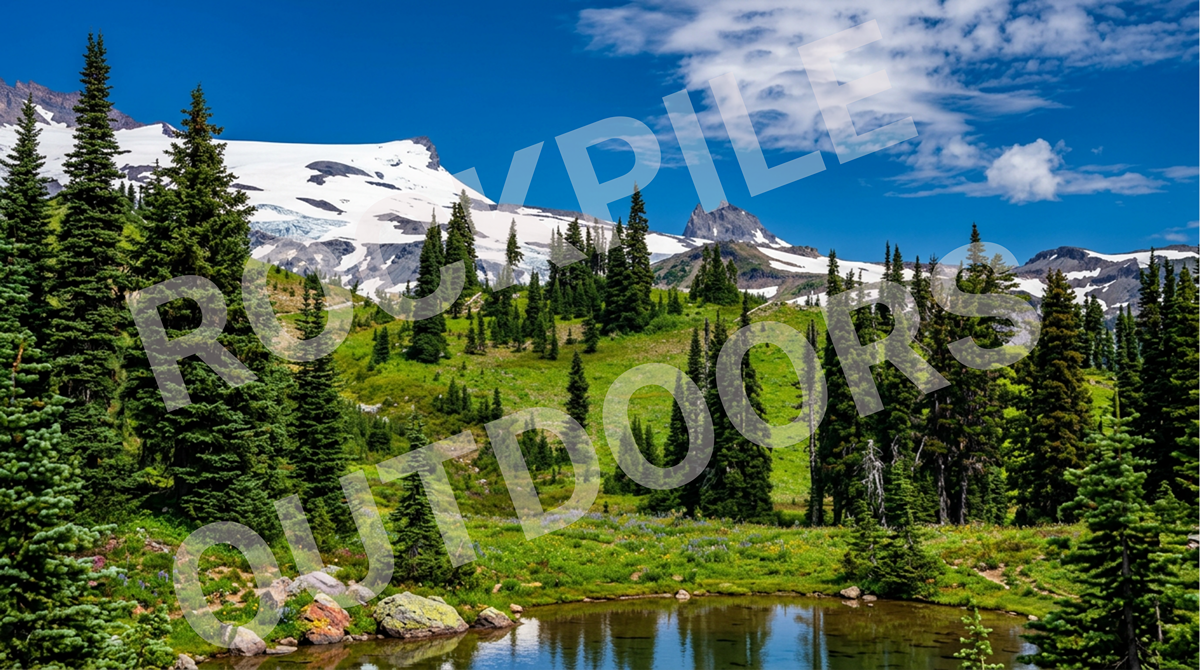 Spring on the Mountain