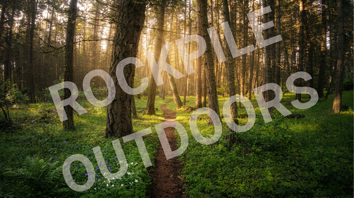 Trail At Sunrise