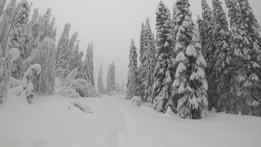 Mt. Spokane Winter Trail 1