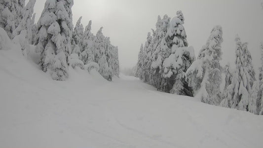 Mt. Spokane Winter Trail 4
