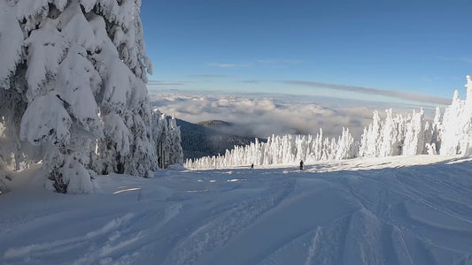 Mt. Spokane Winter Trail 2