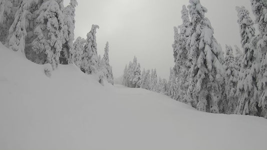 Mt. Spokane Winter Trail 3