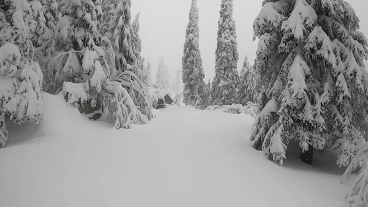 Mt. Spokane Winter Trail 5 Cabin In View