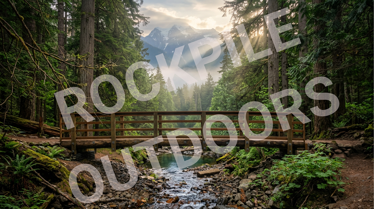 Bridge Deep In The Forest