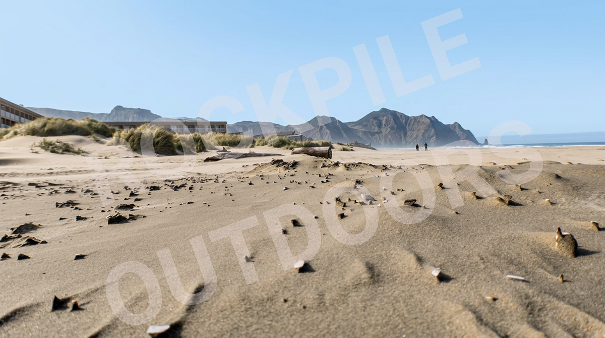 The Beach