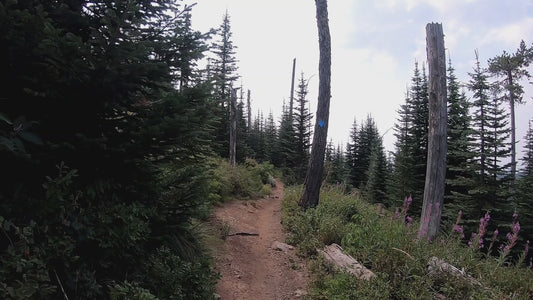 Mt. Spokane Trail 5