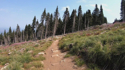 Mt. Spokane Trail 2