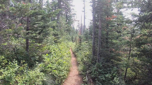 Mt. Spokane Trail 9